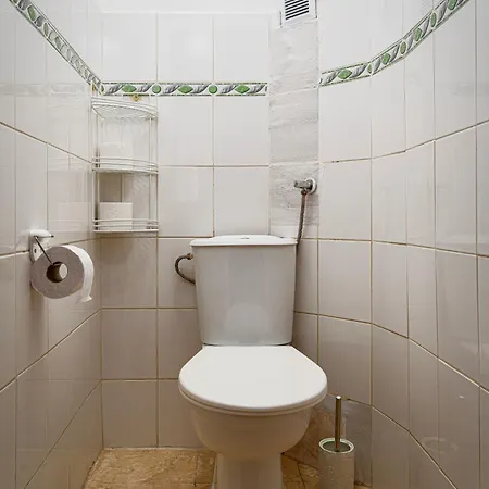 Lion Deluxe Apartament Praga